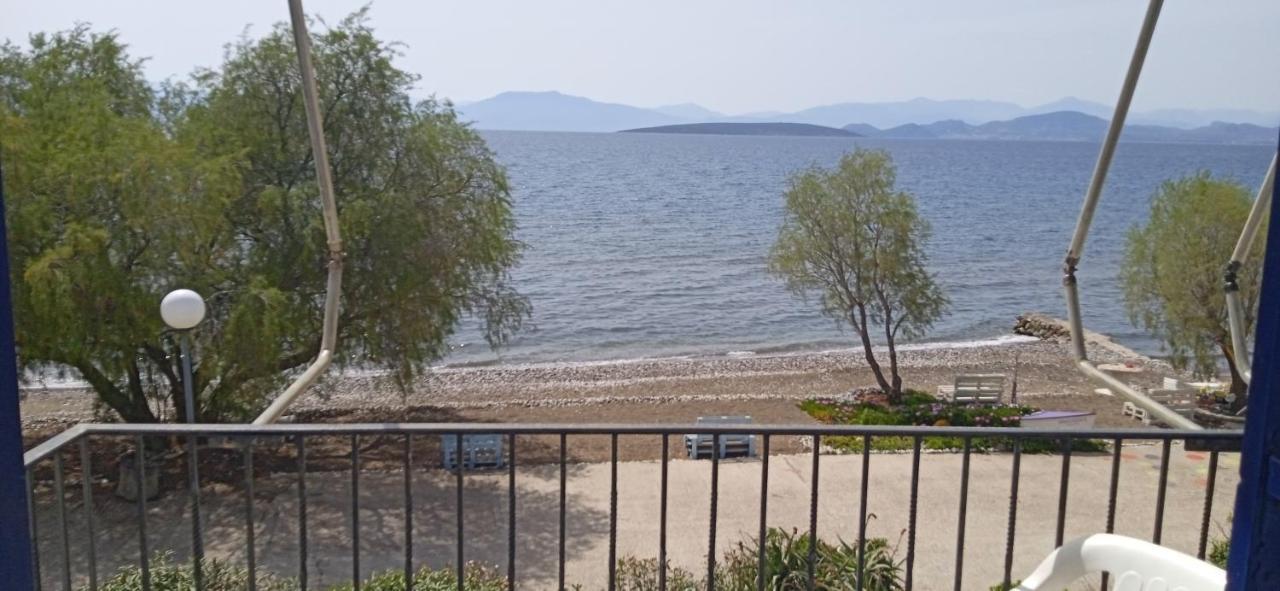 Vikos Beach Apartments Paralia Irion Exterior photo